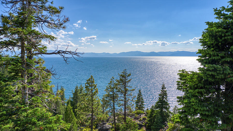 Lake Tahoe Views  Photograph by Anthony Giammarino