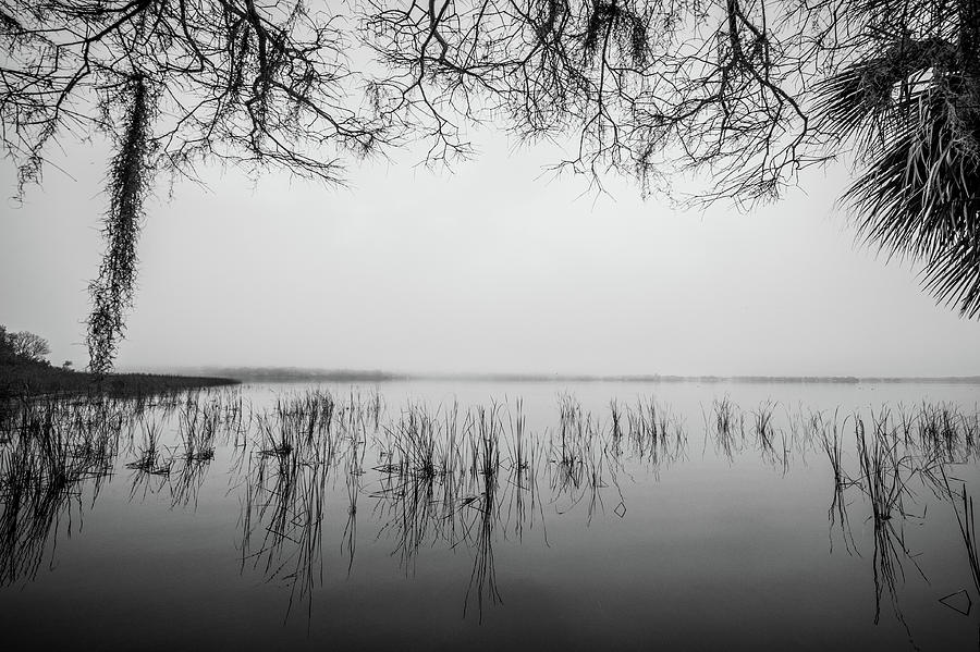 Lake Tarpon Photograph by Joe Leone