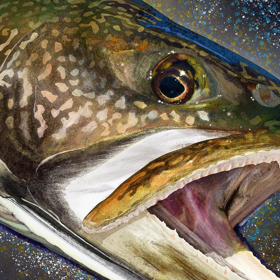 Lake Trout Head Painting by Michael Higgins - Fine Art America