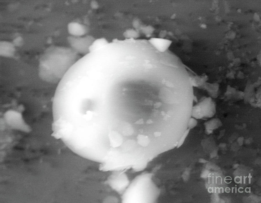Lake Vostok Micro-organism Photograph by Marshall Space Flight Center/nasa/science Photo Library
