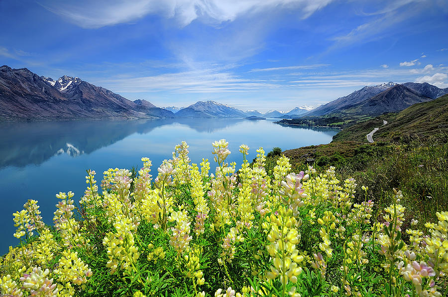 Lake Wakatipu Photograph by Thienthongthai Worachat Lake Wakatipu Photograph by Thienthongthai Worachat