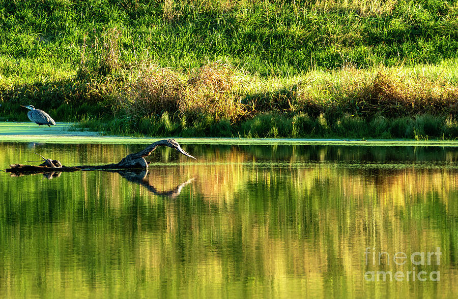 Lake Water Reflections  Photograph by Sandra Js