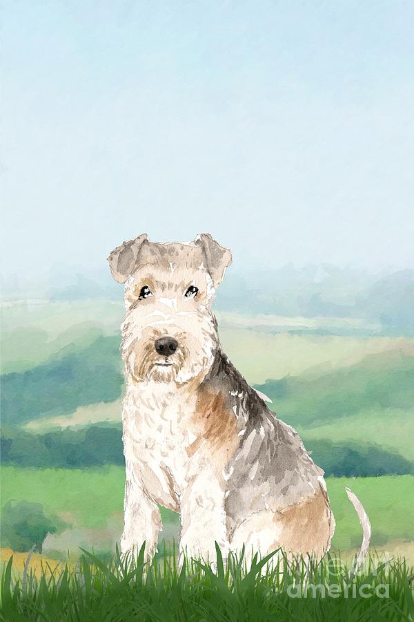 Lakeland Terrier Painting by John Edwards