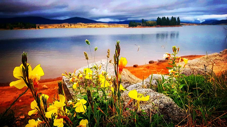 Lakes edge Photograph by Glen Johnson