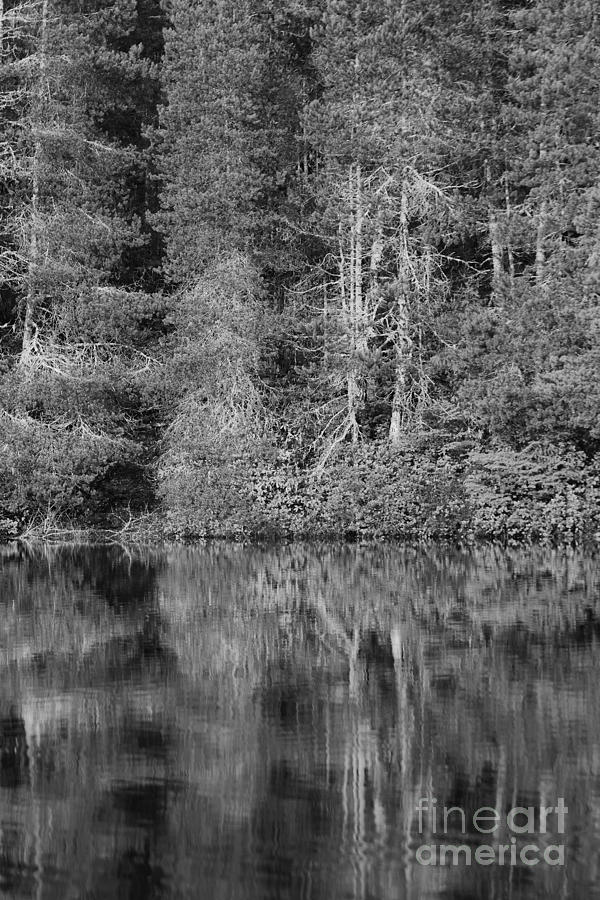 Lakeside Bliss by Jeni Gray Lakeside Bliss by Jeni Gray