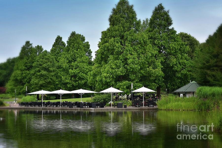 Lakeside Dining Photograph by Yvonne Johnstone