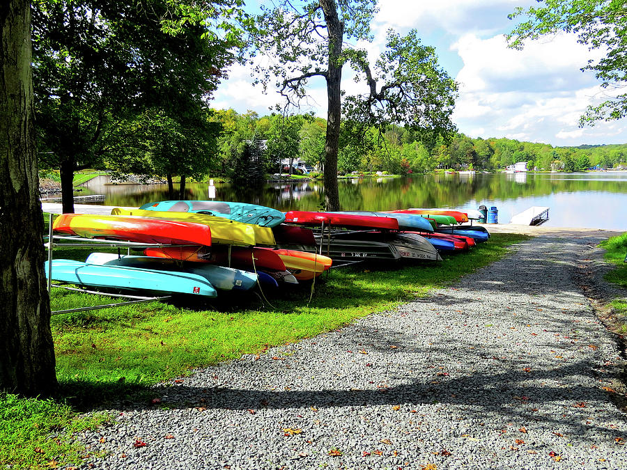 Lakeside Multi-color Kayaks in a Row with Tree Shadow Photograph by Linda Stern
