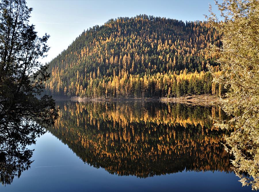 Lakeside Reflections Photograph by Mike Helland