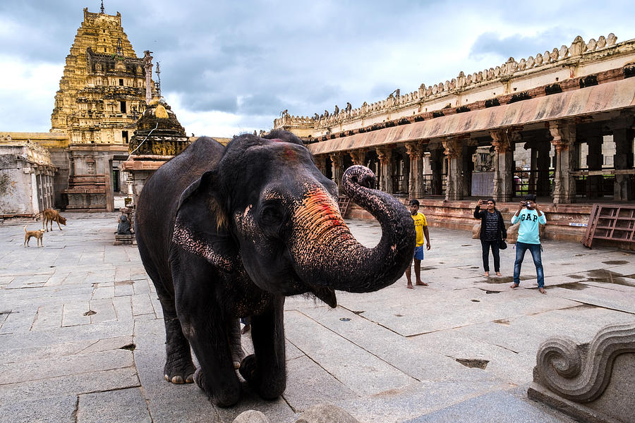 Architecture Photograph - Lakshmi Temple Elephant Hampi by Shreenivas Yenni