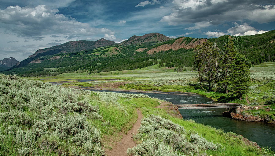 Lamar River Valley Photograph by Marcy Wielfaert