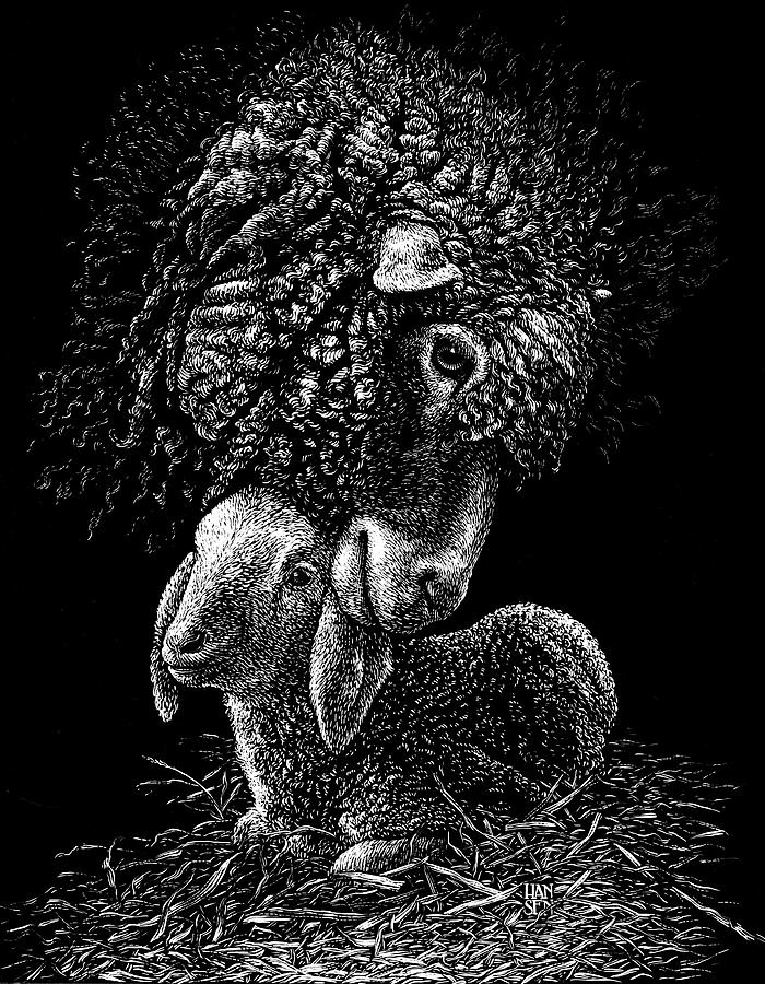 Lamb by Clint Hansen Lamb by Clint Hansen