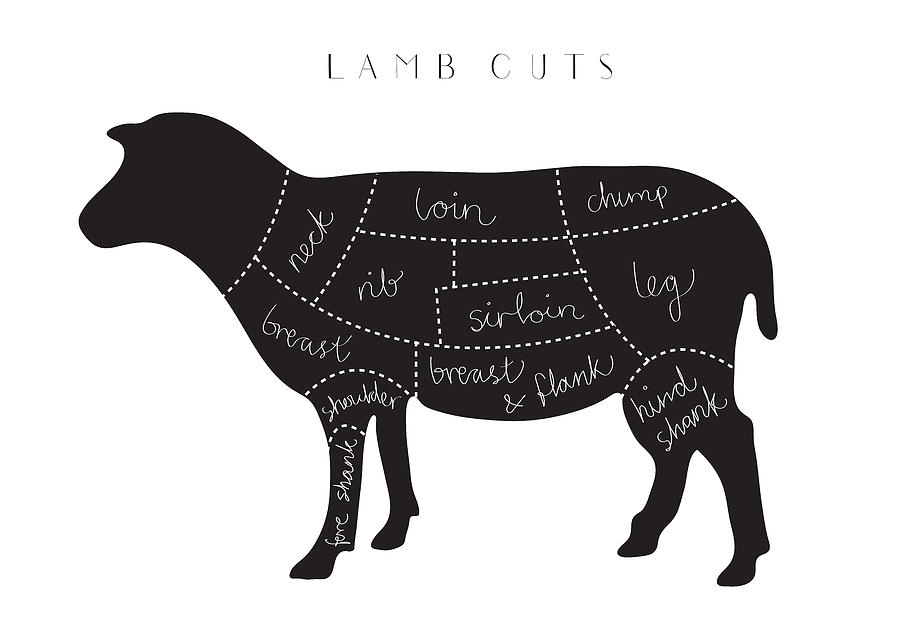 Still Life Photograph - Lamb Cuts by 1x Studio Ii
