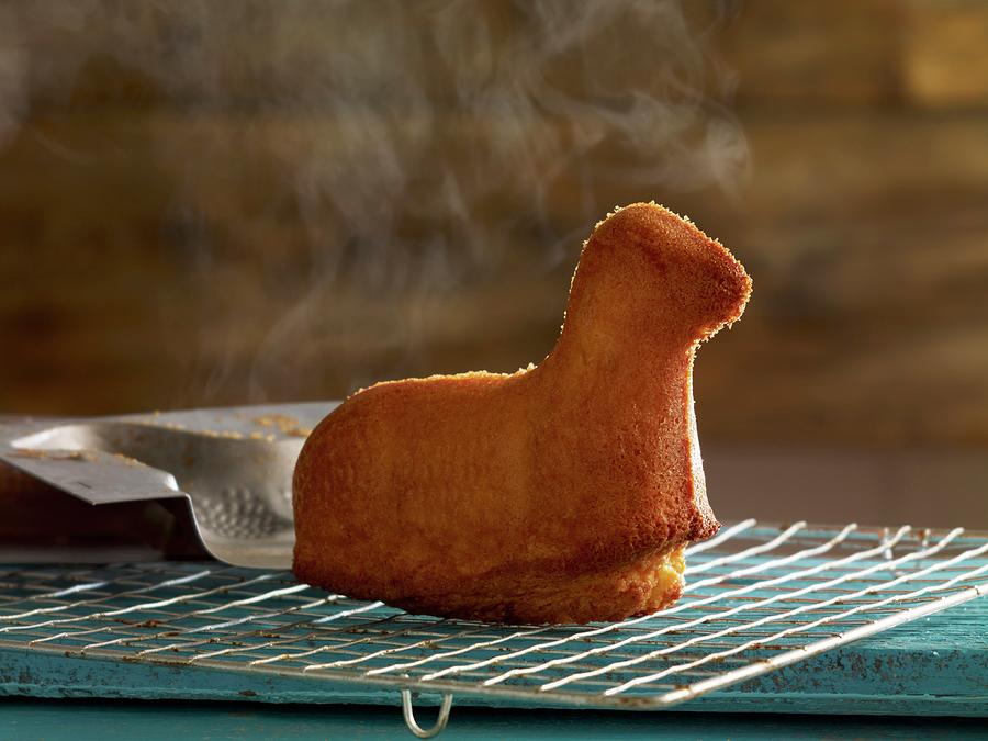 Lamb Shaped Cake For Easter Cooling On A Rack Photograph by Studio R. Schmitz