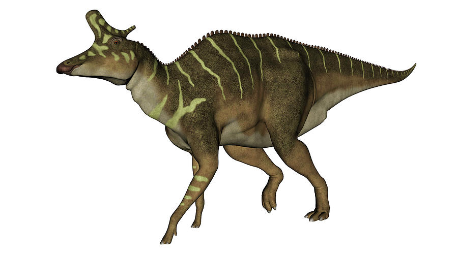 Lambeosaurus Dinosaur Walking, Side Photograph by Elena Duvernay - Fine ...