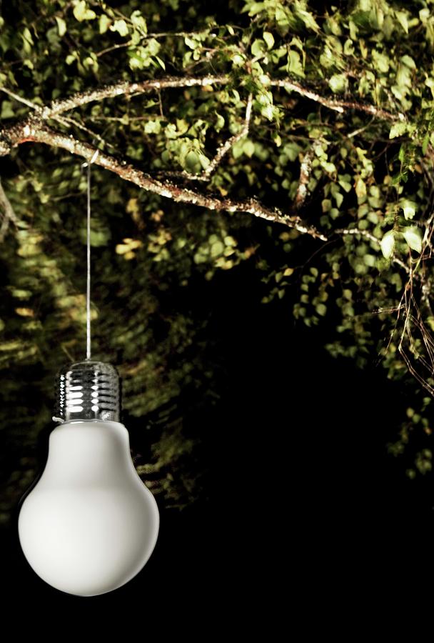 Lamp In Shape Of Light Bulb Lit From Below Hanging From Leafy Branch At Night Photograph by Annette Nordstrom