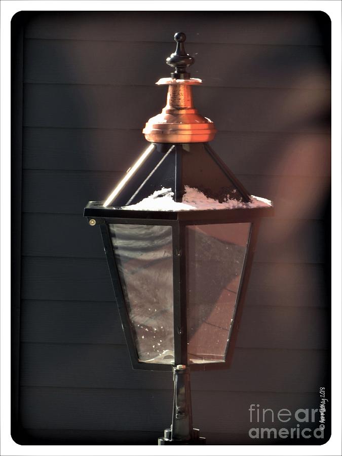 Lamp in winter Photograph by Art MacKay