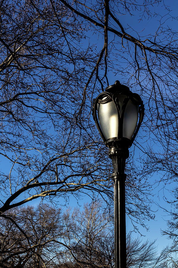 Lamp Post Sky Trees and Clouds Photograph by Robert Ullmann