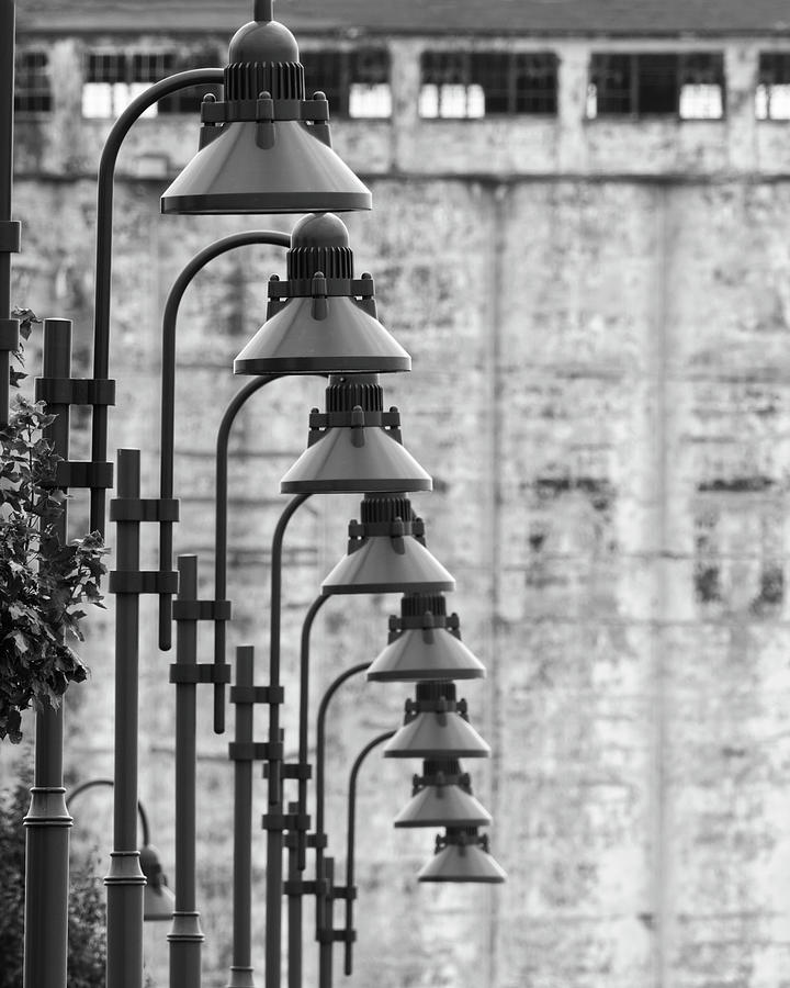 Lamp Posts in a Row Photograph by Deborah Ritch