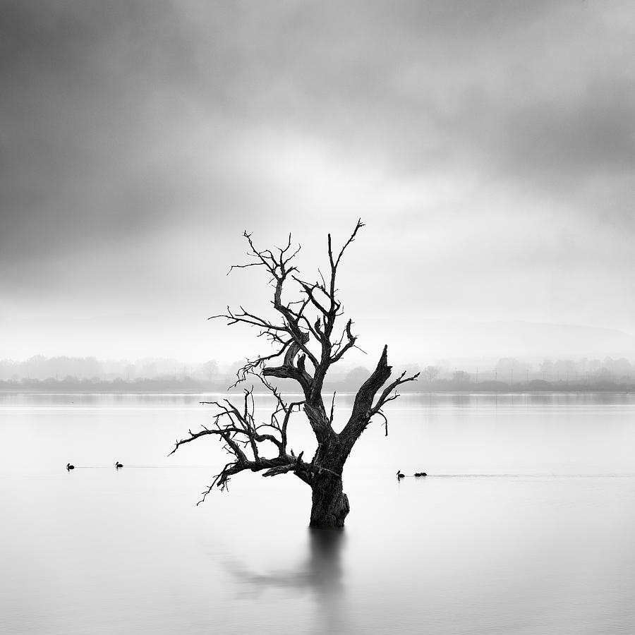 Land Of Silence Photograph by George Digalakis