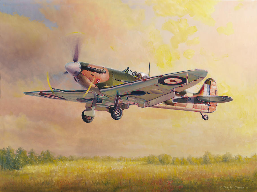 Landing Spitfire Painting by Douglas Castleman