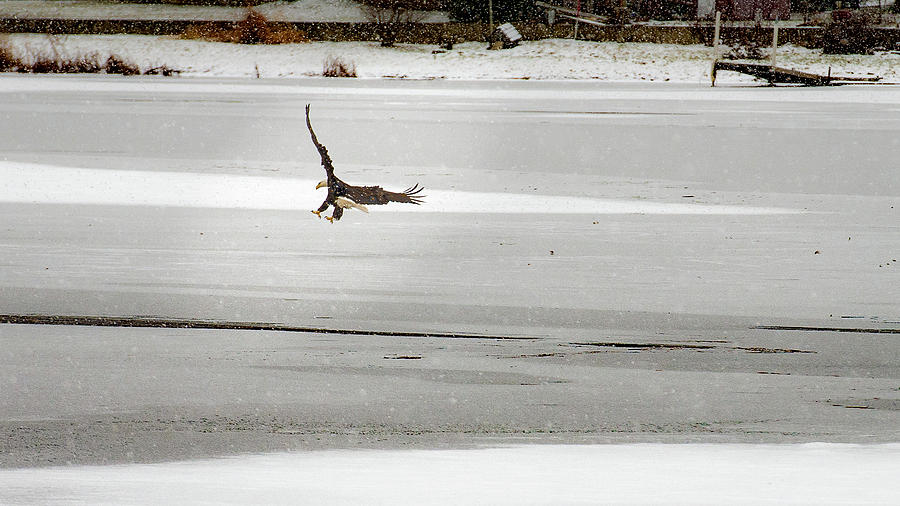 Landing Spot by onyonet photo studios Landing Spot by onyonet photo studios