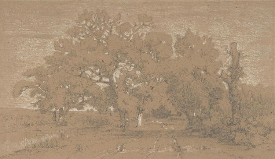Landscape, 1842 Drawing by Theodore Rousseau