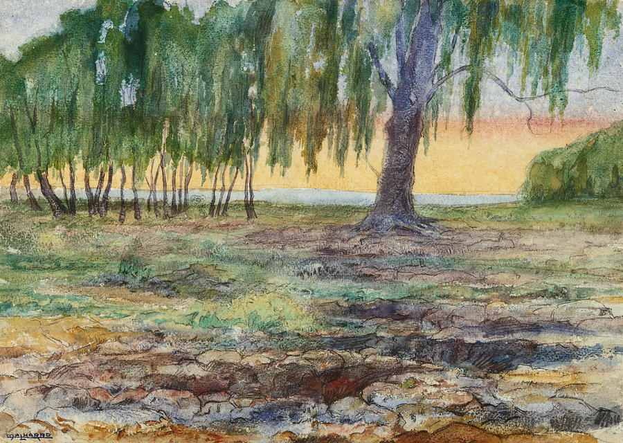 Landscape, 1907 Drawing by Martin Malharro