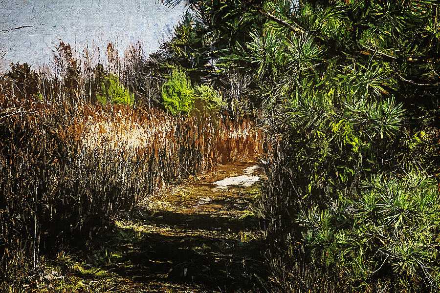 Landscape 32 by Cliff Guy Landscape 32 by Cliff Guy
