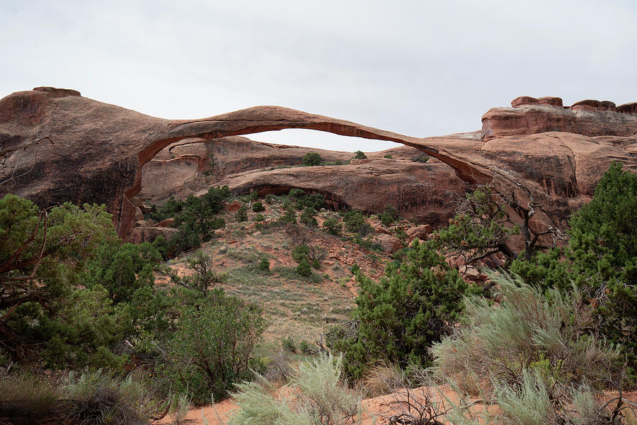 Landscape Arch in Utah Photograph by Jack Nevitt