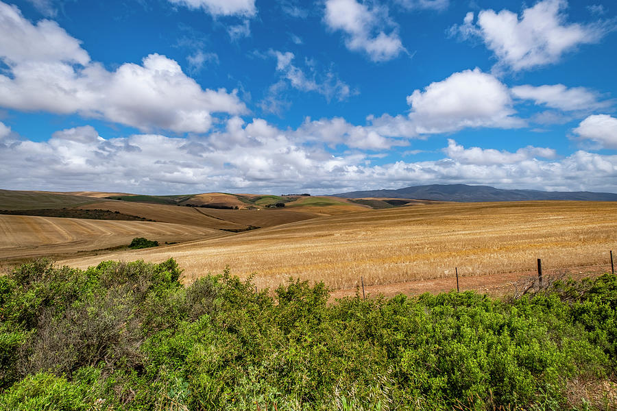 Landscape At Stanford, Gardenroute, South Africa, Africa Photograph by Arnt Haug
