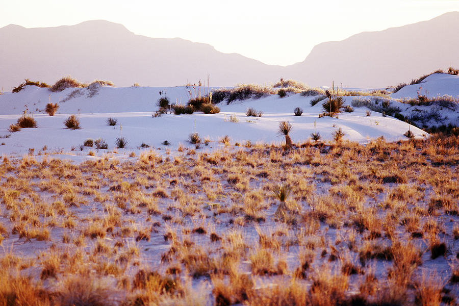 Landscape At Sunset In White Sands, New Photograph by Marc Romanelli