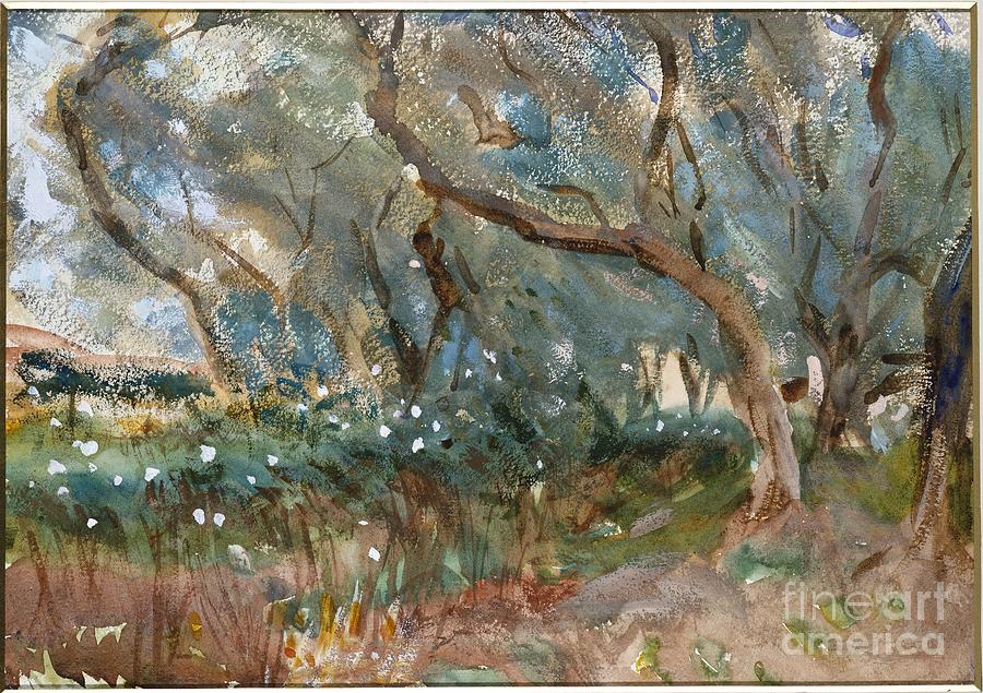Landscape, Corfu, 1909 Painting by John Singer Sargent Fine Art America