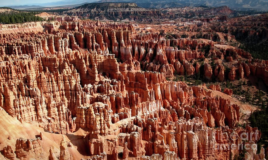 Landscape Hoodoos Bryce Canyon  Photograph by Chuck Kuhn