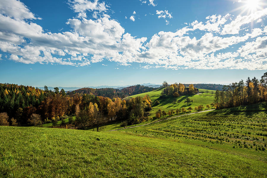 Landscape In Autumn With Swiss Alps, Near Salem, Lake Constance, Baden-wrttemberg, Germany Photograph by Daniel Schoenen Fotografie