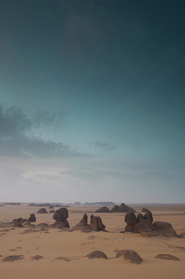 Landscape In Desert Photograph by Moodboard