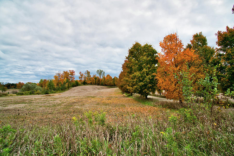 Landscape In The Fall Photograph by Nick Mares