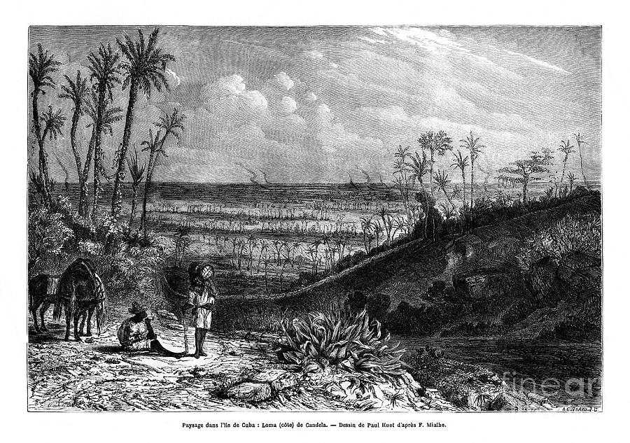 Landscape In The Island Of Cuba, 1859 Drawing by Print Collector