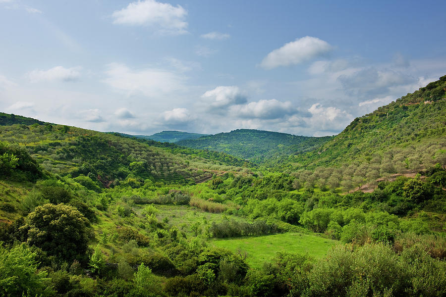 Landscape Near Ittiri Photograph by Maremagnum