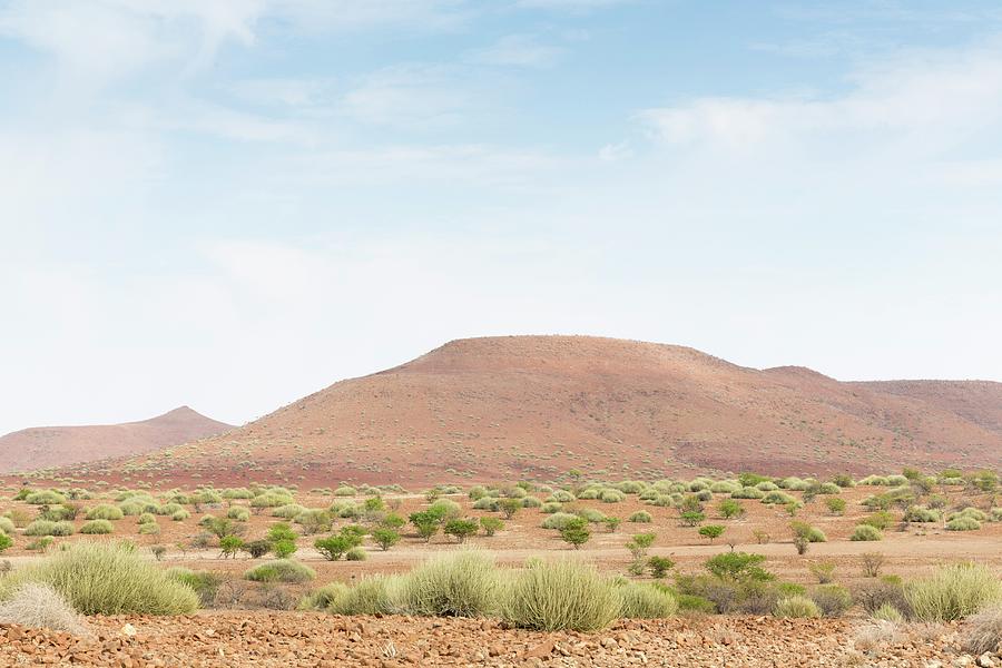 Landscape Near Sesfontein, Kunene Province, Namibia, Africa Photograph by Jalag / Gerald Hnel
