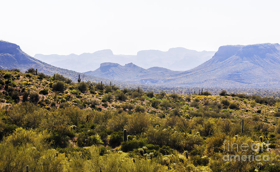 Landscape of Arizona 2 Photograph by Felix Lai
