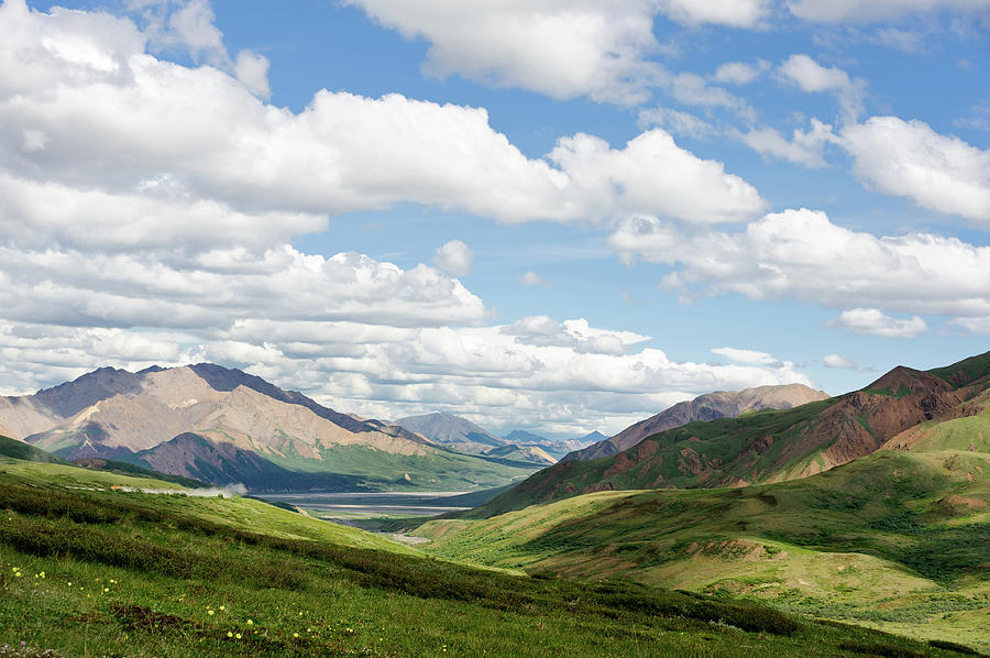 Landscape Of Denali Photograph by Earleliason
