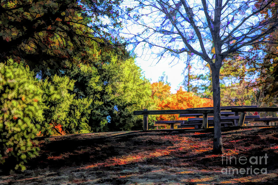 Landscape Park Fence Autumn  Photograph by Chuck Kuhn
