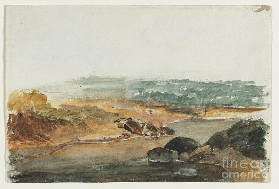 Landscape Recto Studies Of Animals Drawing by Heritage Images