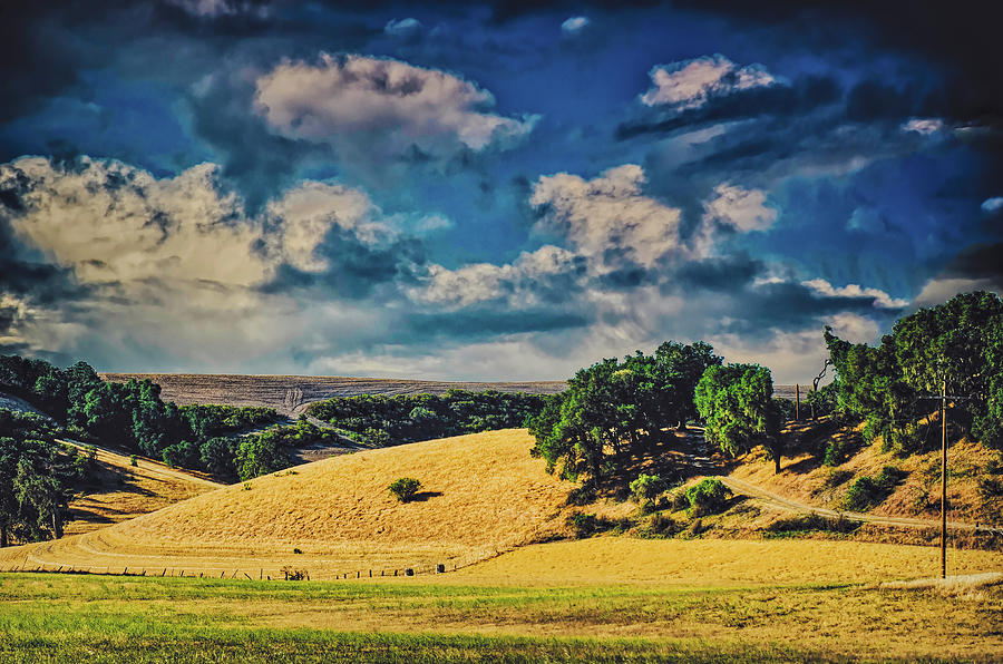 Landscape Scene San Luis Obispo Photograph by Joseph Hollingsworth
