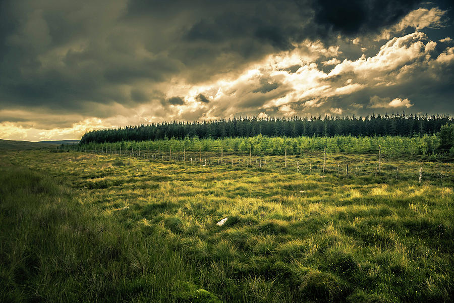 Highland Photograph - Landscape View by Alister Harper Highland Photograph - Landscape View by Alister Harper