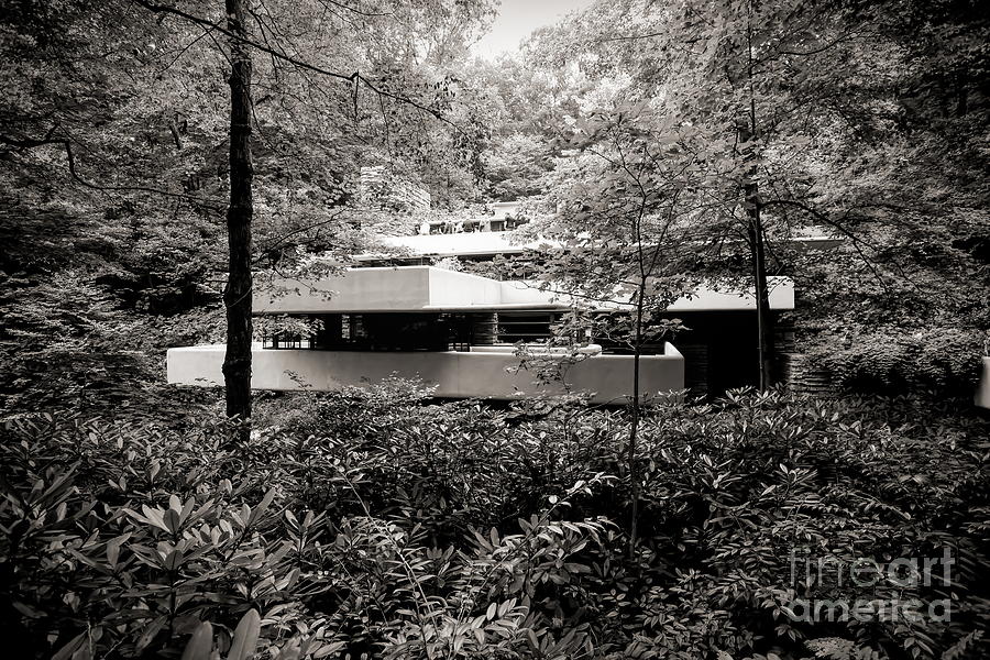 Landscape View Fallingwater Frank Lloyd Wright Architect  Photograph by Chuck Kuhn