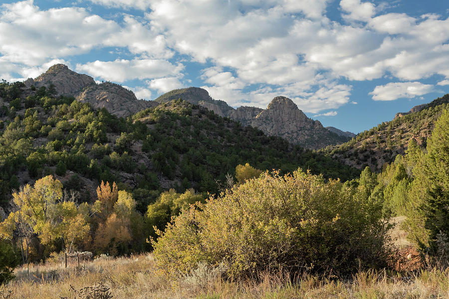 Landscape view from Beaver Creek trail by Bryan Kilzer Landscape view from Beaver Creek trail by Bryan Kilzer