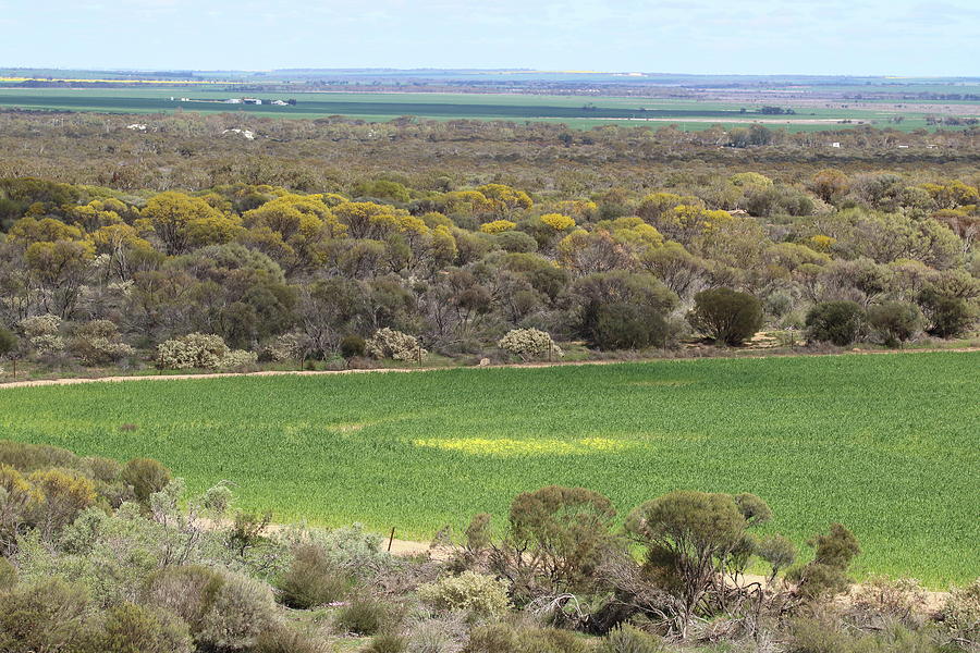 Landscape View From Buntin Rocks Photograph