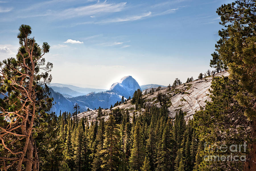 Landscape Views Yosemite National Park  Photograph by Chuck Kuhn