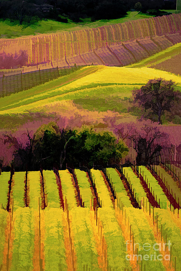 Landscape Vineyards Napa California Digital Art  Digital Art by Chuck Kuhn